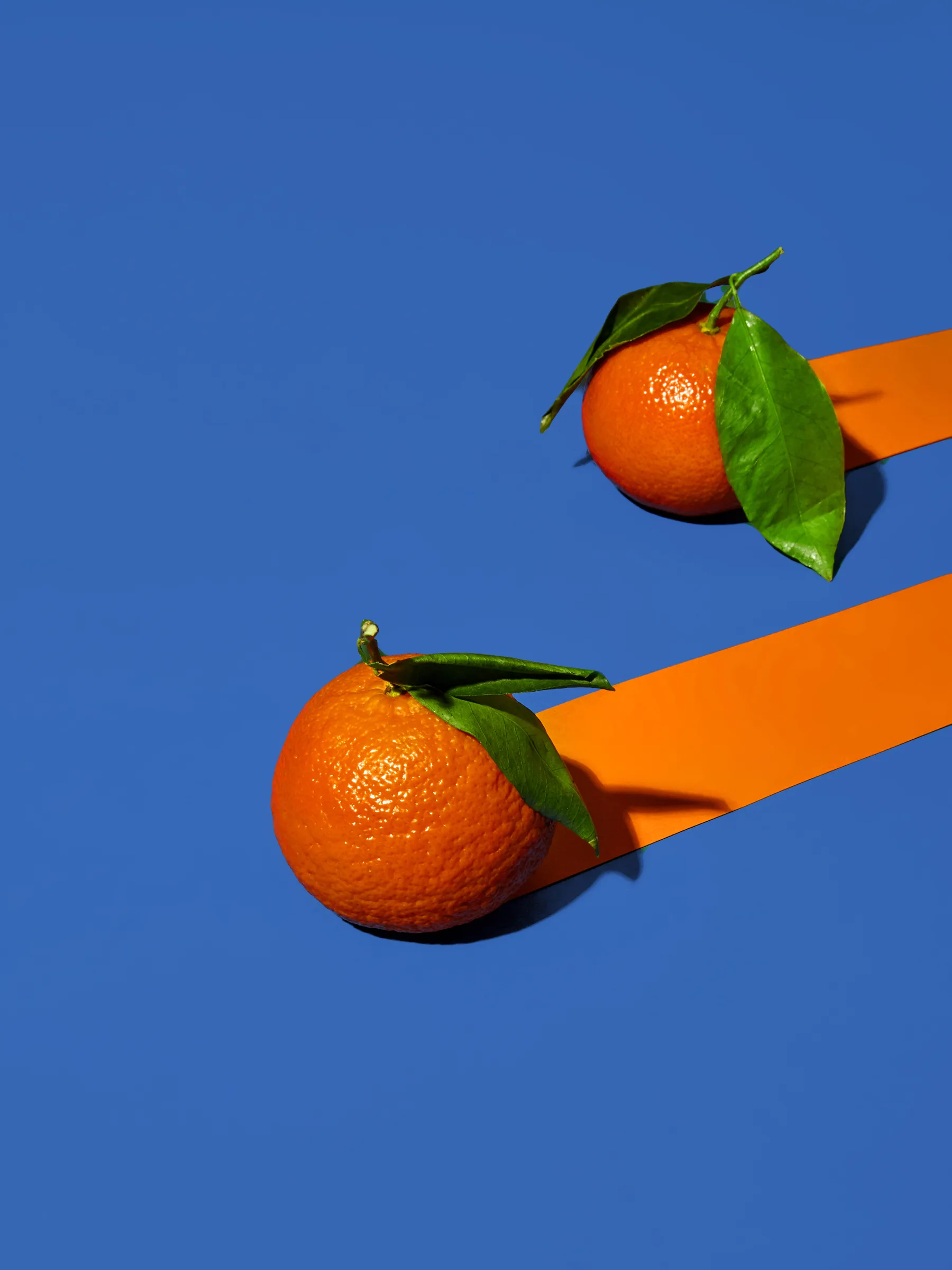 Vibrant Oranges on a Bold Blue Background Vibrant Oranges on a Bold Blue Background
